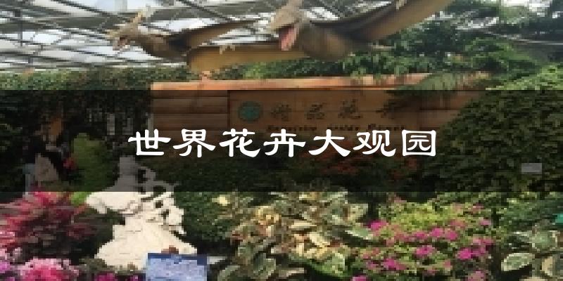 世界花卉大观园天气预报十五天