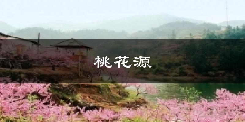 桃花源天气预报十五天