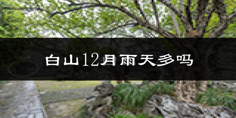 白山12月雨天多吗?