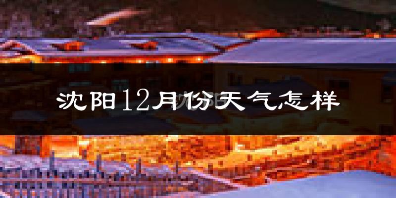 沈阳12月份天气怎样?沈阳十二月冷吗?