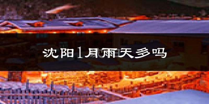 沈阳1月雨天多吗?