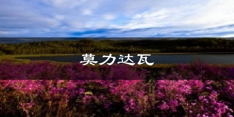 莫力达瓦天气预报十五天