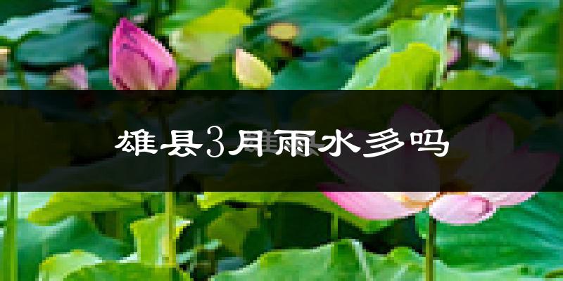 雄县3月雨水多吗?