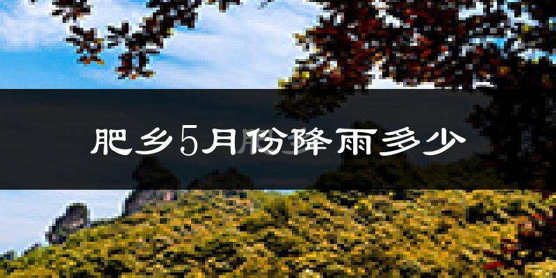 肥乡5月份降雨多少?