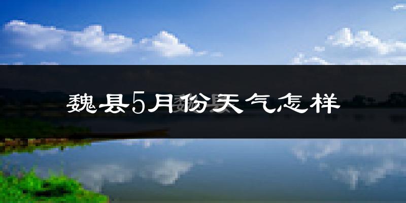 魏县5月份天气如何?很热吗?