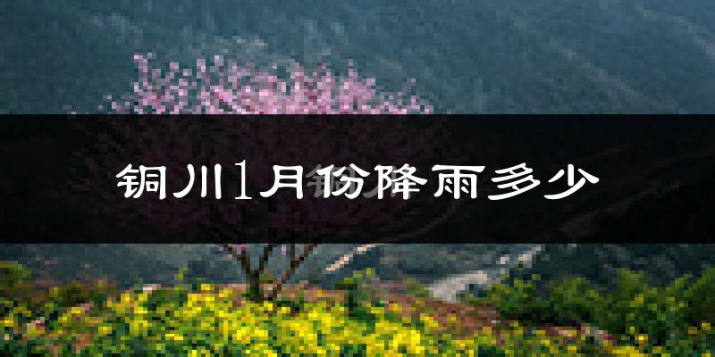 铜川1月份降雨多少?