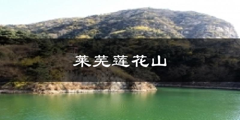 莱芜莲花山天气预报十五天