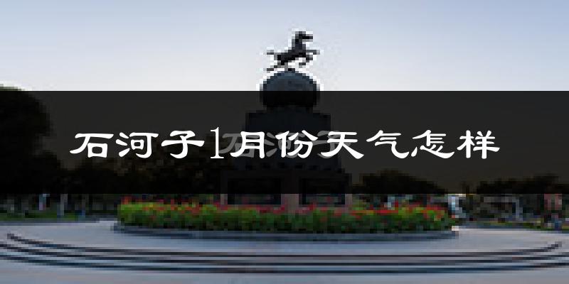 石河子市1月份天气如何?很冷吗?