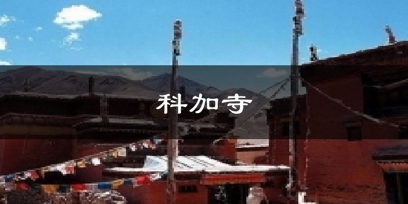 科加寺天气预报十五天