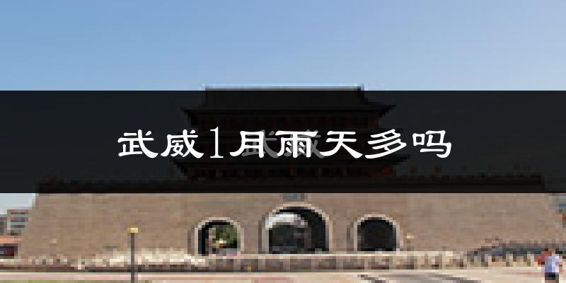 武威1月雨天多吗?