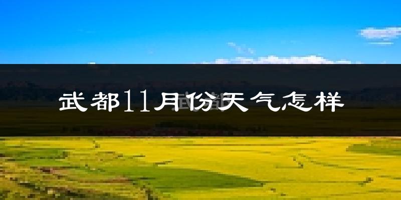 武都11月份天气怎样?武都十一月冷不冷?