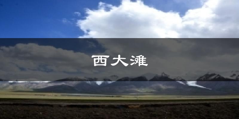 西大滩天气预报十五天