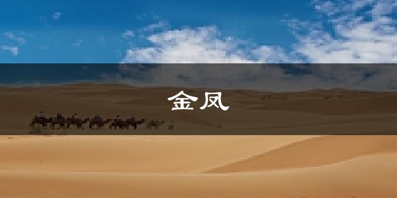 银川金凤天气预报未来一周