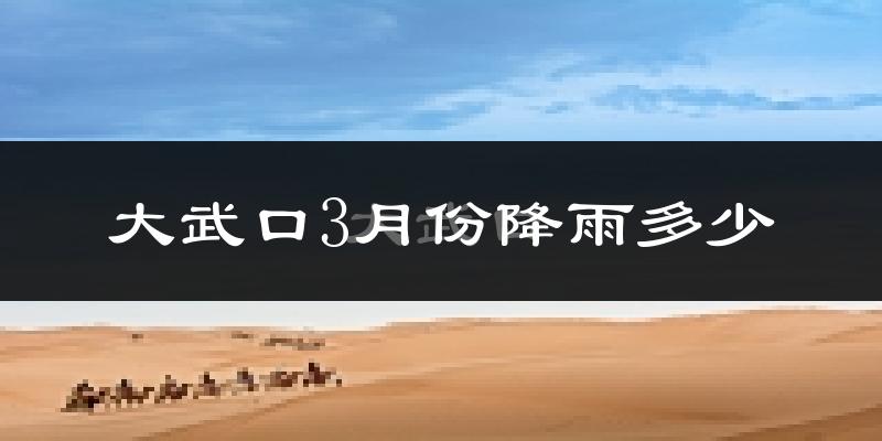 大武口3月份降雨多少?
