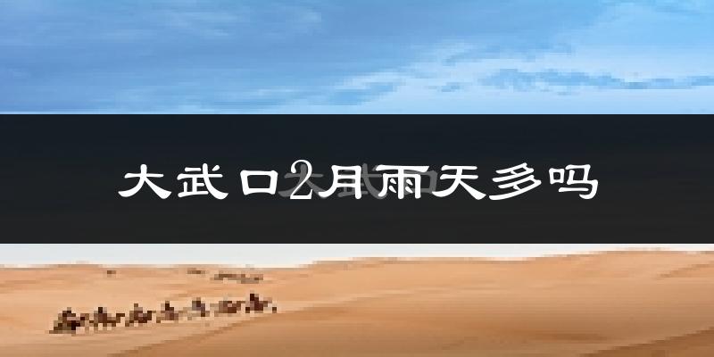 大武口2月雨天多吗?