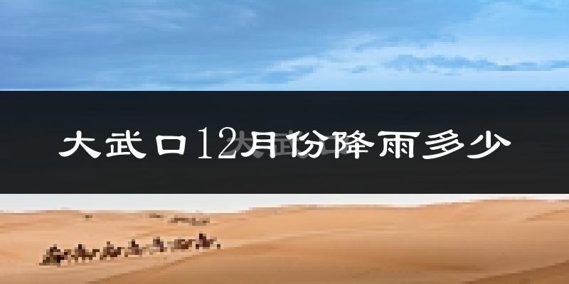 大武口12月份降雨多少?