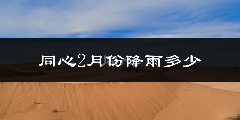 同心2月份降雨多少?