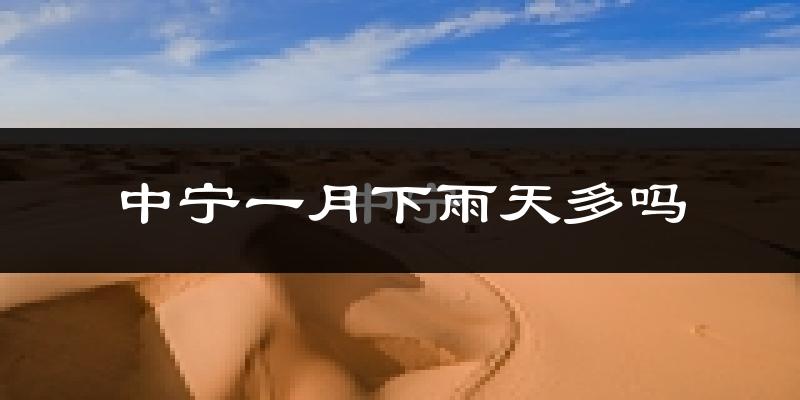 中宁一月下雨天多吗?中宁1月份降雨量多少?