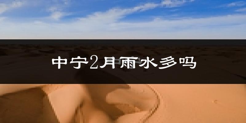 中宁2月雨水多吗?