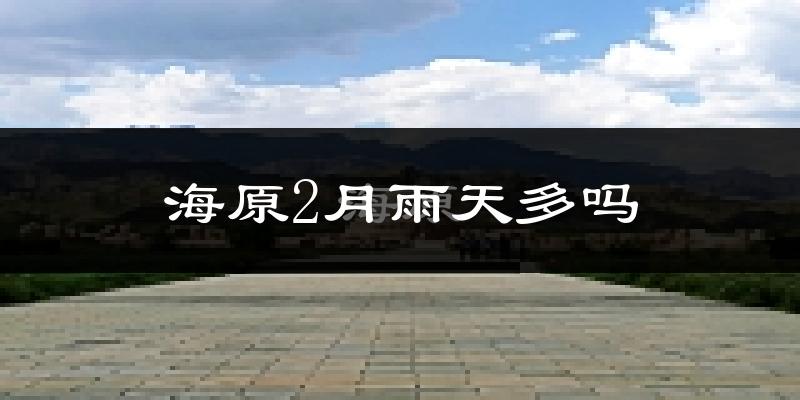 海原2月雨天多吗?