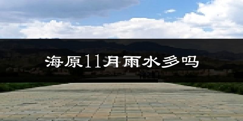 海原11月雨水多吗?