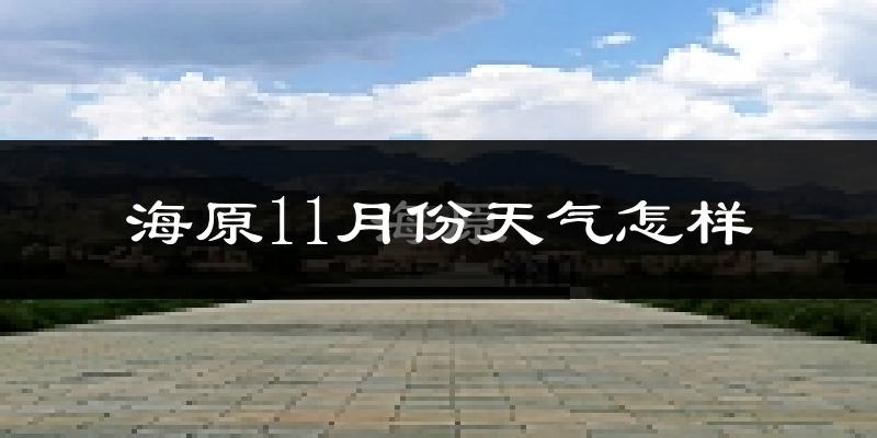 海原11月份天气怎样?海原十一月冷吗?