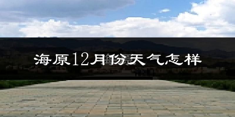 海原12月份天气怎样?海原十二月冷不冷?