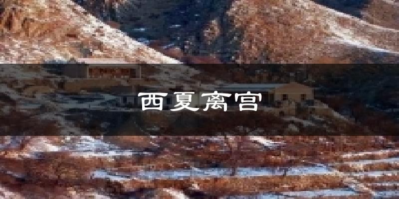 西夏离宫天气预报十五天