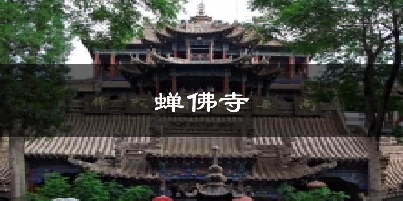 蝉佛寺气温