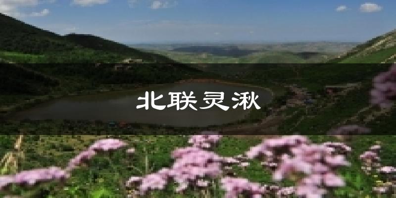 北联灵湫气温