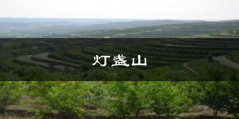灯盏山今日天气