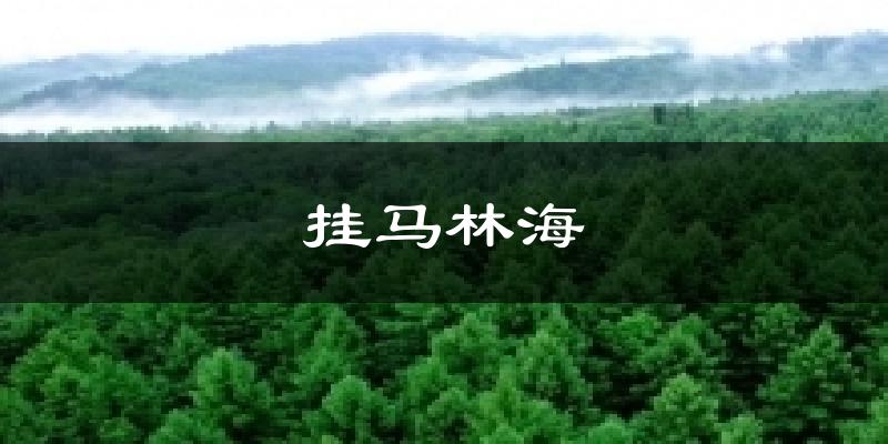 挂马林海今日天气
