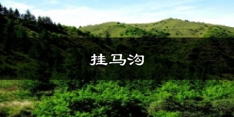 挂马沟今日天气