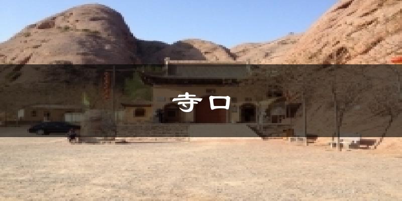 寺口今日天气