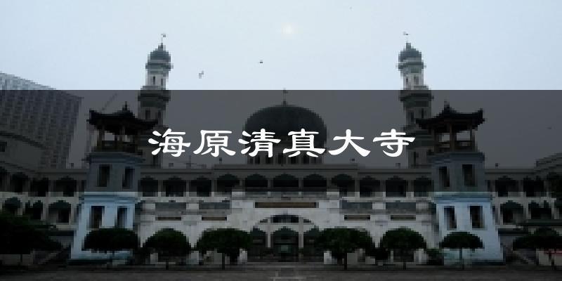 海原海原清真大寺天气预报未来一周