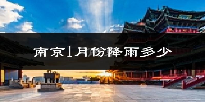南京1月份降雨多少?