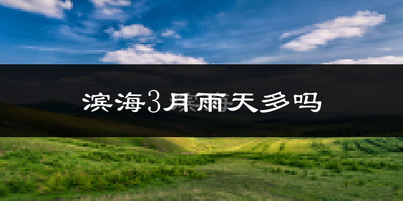滨海3月雨天多吗?