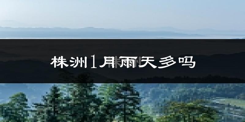 株洲1月雨天多吗?