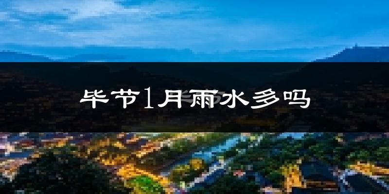 毕节1月雨水多吗?