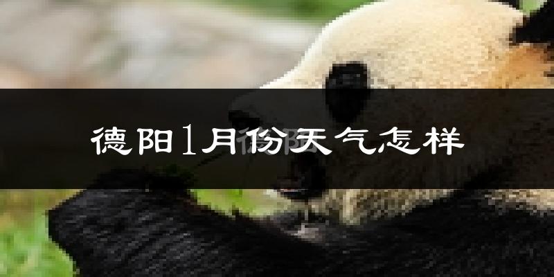德阳市1月份天气如何?很冷吗?