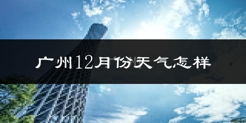 广州12月份天气怎样?广州十二月冷不冷?