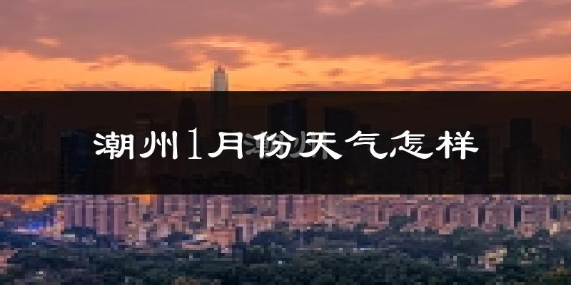 潮州市1月份天气如何?很冷吗?