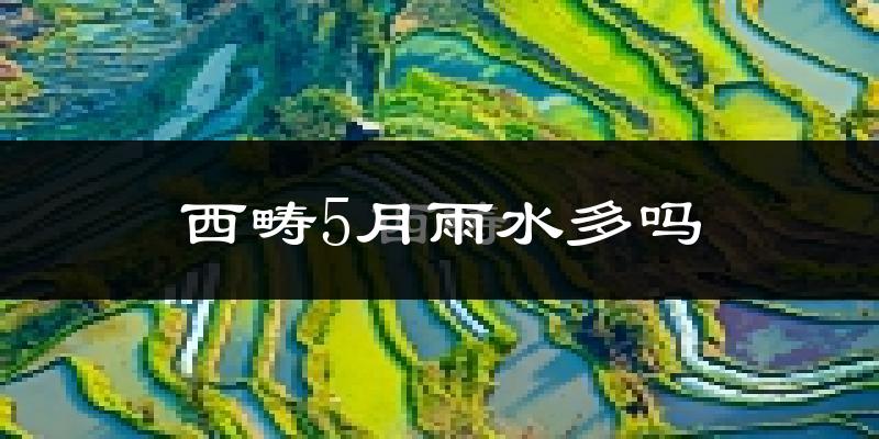 西畴5月雨水多吗?