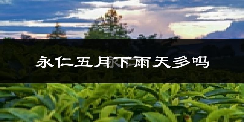 永仁五月下雨天多吗?永仁5月份降雨量多少?