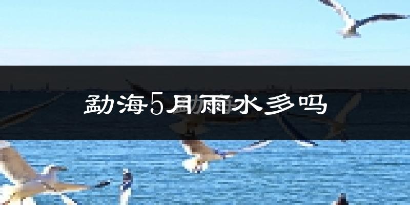 勐海5月雨水多吗?