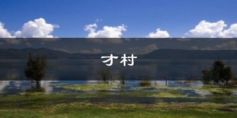 才村天气预报十五天