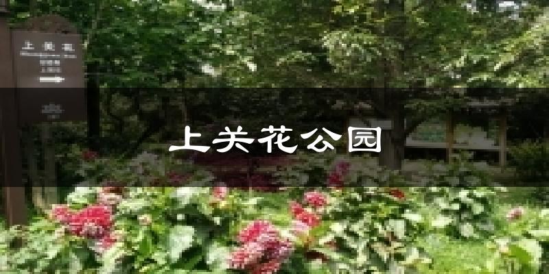 上关花公园天气预报十五天
