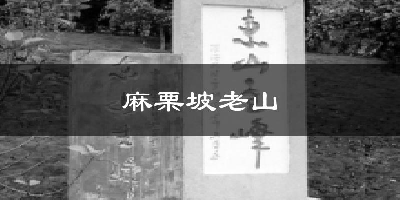 麻栗坡老山天气预报十五天