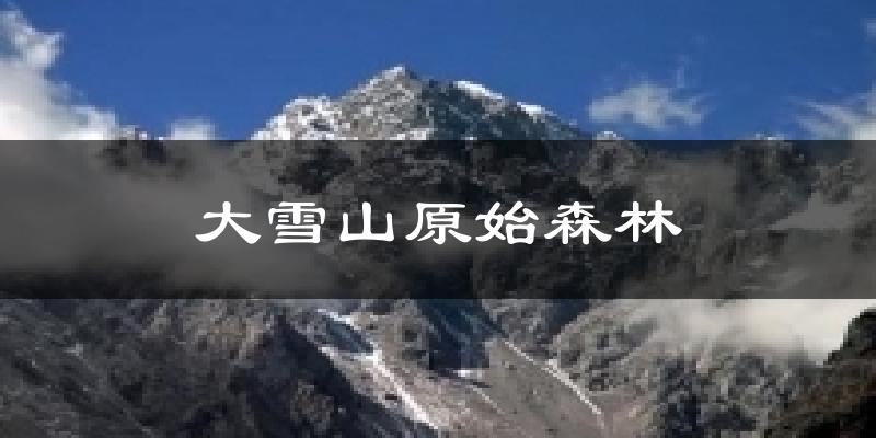 大雪山原始森林天气预报十五天