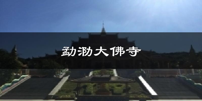 勐泐大佛寺天气预报十五天